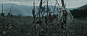 inthefire00986.jpg