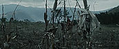inthefire00987.jpg
