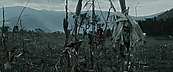 inthefire00989.jpg