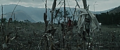 inthefire00990.jpg