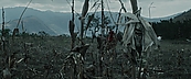 inthefire00991.jpg