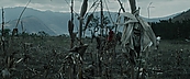 inthefire00992.jpg