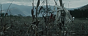 inthefire00994.jpg