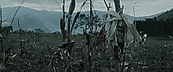 inthefire00998.jpg
