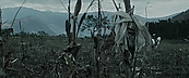 inthefire00999.jpg
