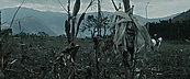 inthefire01001.jpg