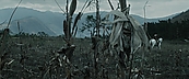 inthefire01005.jpg