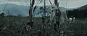 inthefire01007.jpg