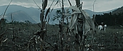 inthefire01010.jpg