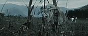 inthefire01015.jpg