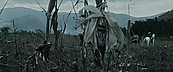 inthefire01029.jpg