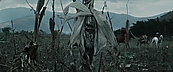 inthefire01052.jpg