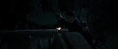 inthefire03807.jpg