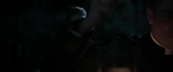 inthefire04063.jpg