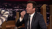 Filename=jimmyfallon_20181207_10479.jpg
Filesize=251KiB
Dimensions=1920x1080
Date added=Dec 24, 2022 jimmyfallon_20181207_10479.jpg