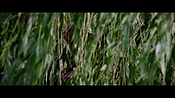 londonfields06512.jpg