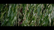 londonfields06513.jpg