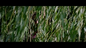 londonfields06516.jpg