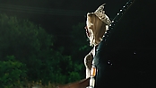 machetekills_making_1361.jpg