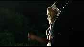 machetekills07499.jpg