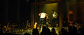 magicmikexxl14438.jpg