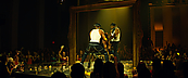 magicmikexxl14445.jpg
