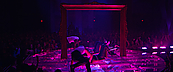 magicmikexxl14951.jpg
