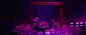 magicmikexxl14953.jpg
