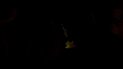 paranoia00887.jpg