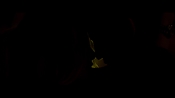 paranoia00888.jpg
