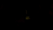 paranoia00893.jpg