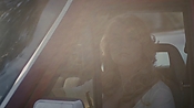 rememberthedaze00580.jpg
