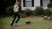 rememberthedaze04060.jpg