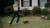 rememberthedaze04061.jpg