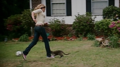 rememberthedaze04063.jpg