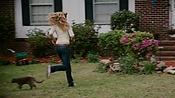 rememberthedaze04075.jpg