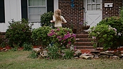 rememberthedaze04109.jpg