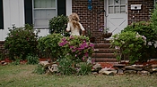rememberthedaze04111.jpg