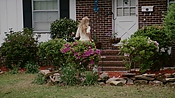 rememberthedaze04114.jpg
