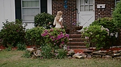 rememberthedaze04115.jpg