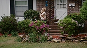 rememberthedaze04117.jpg