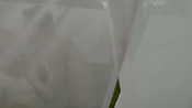 rememberthedaze05328.jpg