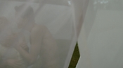rememberthedaze05329.jpg