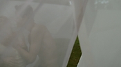 rememberthedaze05330.jpg