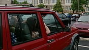 rememberthedaze06638.jpg