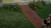 rememberthedaze09728.jpg
