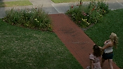 rememberthedaze09734.jpg