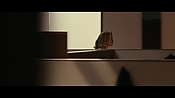 syrup39094.jpg
