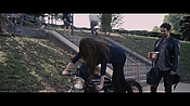 theadderalldiaries02014.jpg