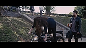 theadderalldiaries02020.jpg